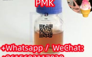 CAS28578-16-7PMK ethyl glycidate Hot Selling