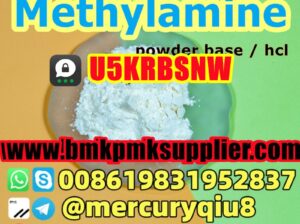 No Customs Issue  Methylamine hydrochloride Methyl