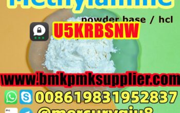 No Customs Issue  Methylamine hydrochloride Methyl