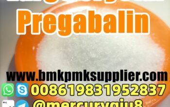 China supplier pregabalin lyrica pregabalin powder