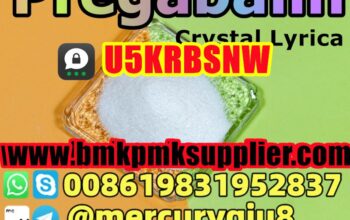 No Customs Issue pregabalin lyrica pregabalin powd