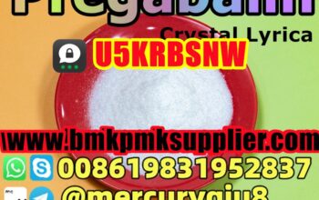 High Purity 99.9%  pregabalin lyrica pregabalin