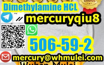 Discreet packaging Dimethylamine hcl 506-59-2