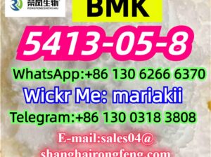 CAS.5413-05-8,Ethyl 3-oxo-4-phenylbutanoate