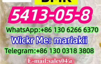 CAS.5413-05-8,Ethyl 3-oxo-4-phenylbutanoate