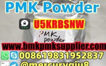 BMK methyl glycidate 80532-66-7 ,BMK ethyl glycid