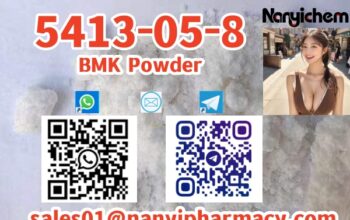 5413-05-8 BMK Powder