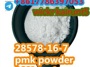 CAS28578-16-7 pmk oil NEW PMK ethyl glycidate oil