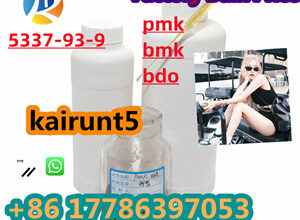 Good factory pirce cas5337-93-9in stock