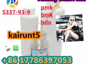 Good factory pirce cas5337-93-9in stock