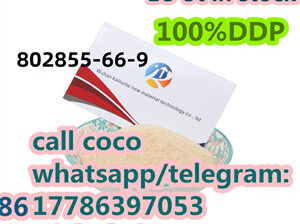 Premium Quality PMK cas 802855-66-9 for Superior P