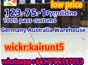 BMK CAS 123-75-1 Factory Wholesale Door to Door De