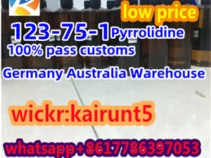 BMK CAS 123-75-1 Factory Wholesale Door to Door De
