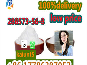 CAS 288573-56-8 tert-butyl 4-(4-fluoroanilino)pipe