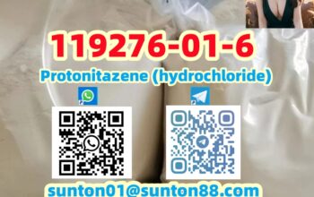 119276-01-6 Protonitazene (hydrochloride) 119276