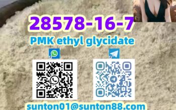 28578-16-7 PMK ethyl glycidate