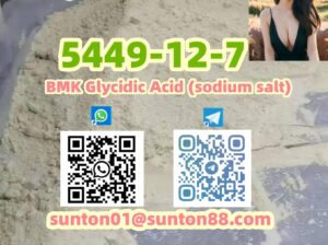 5449-12-7 BMK Glycidic Acid (sodium s