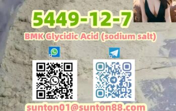 5449-12-7 BMK Glycidic Acid (sodium s