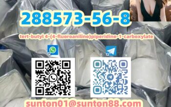 288573-56-8 tert-butyl 4-(4-fluoroanilino)piperidi