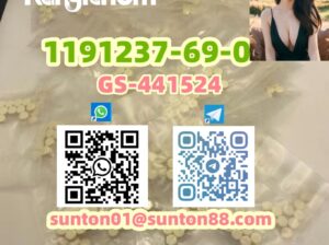 1191237-69-0 GS-441524