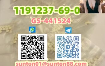 1191237-69-0 GS-441524