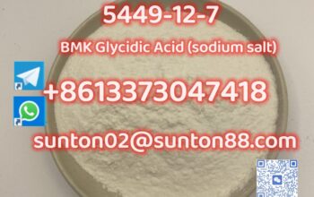 5449-12-7 BMK Glycidic Acid (sodium s