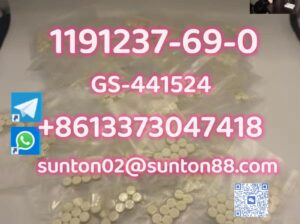 1191237-69-0 GS-441524