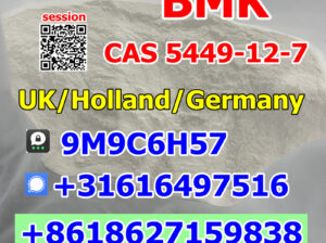 BMK Powder CAS 5449-12-7/80532-66-7 Holland UK