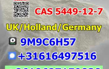 BMK Powder CAS 5449-12-7/80532-66-7 Holland UK