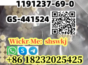 1191237-69-0 GS-441524