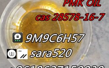 +8618627159838 CAS 28578-16-7 PMK Ethyl Glycidate