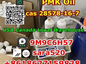 Canada Europe USA Stock CAS 28578-16-7 PMK Oil PMK