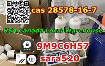 Canada Europe USA Stock CAS 28578-16-7 PMK Oil PMK