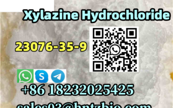 23076-35-9 Xylazine Hydrochloride