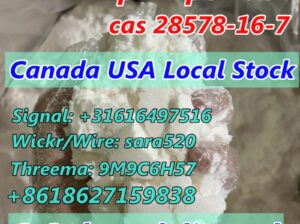 Pure Pmk Ethyl Glycidate CAS 28578-16-7 New Pmk Ca
