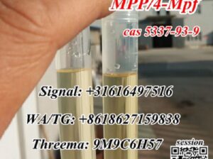 CAS 5337-93-9 MPP 4′-Methylpropiophenone 4-Mpf