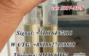 CAS 5337-93-9 MPP 4′-Methylpropiophenone 4-Mpf