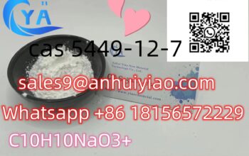 CAS 5449-12-7 BMK Glycidic Acid (sodium salt) bmk