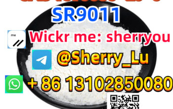 CAS 1379686-29-9 SR9011 powder big discount！