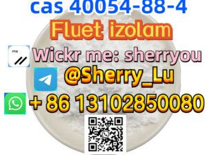 CAS 40054-88-4 Fluetizolam powder high quality
