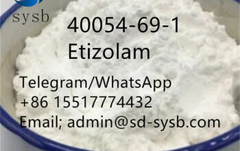 CAS; 40054-69-1 Etizolam The most popular good pri