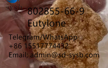 CAS; 802855-66-9 Eutylone The most popular good pr