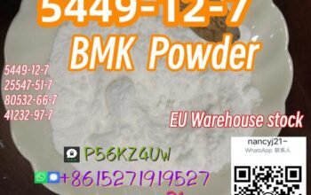 BMK powder 5449-12-7 41232-97-7 80532-66-7 P2p APA