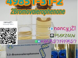 49851-31-2 2Bromovalerophenone 2Бромвалерофенон 2-