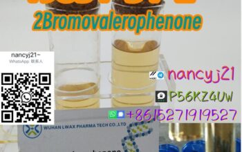 49851-31-2 2Bromovalerophenone 2Бромвалерофенон 2-