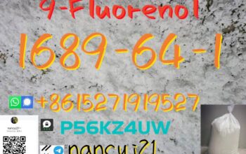 9-Fluorenol 1689-64-1 C13H10O high quality factory