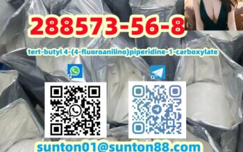 288573-56-8 tert-butyl 4-(4-fluoroanilino)piperidi