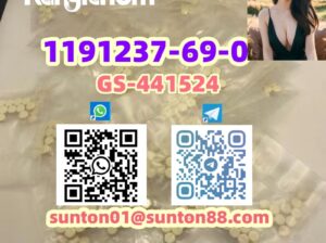 1191237-69-0 GS-441524