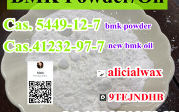 CAS 5449-12-7 BMK Glycidic Acid (sodium salt) bmk