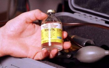 BUY NEMBUTAL ONLINE ,BUY PENTOBARBITAL SODIUM, BUY